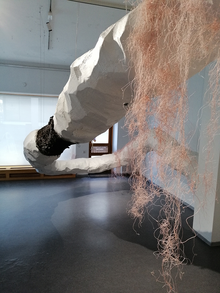 Aeon. Anu Haapanen, Virva Kanerva, Anna Leppä, Janika Salonen. Installation.