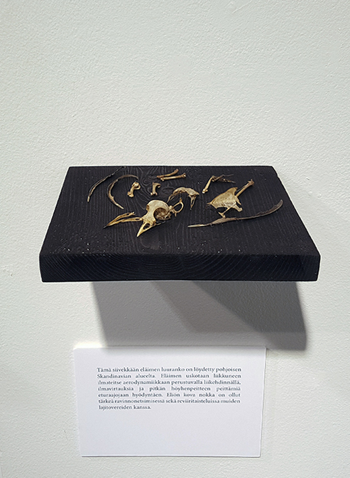 Museum. Anu Haapanen, Virva Kanerva, Anna Leppä, Janika Salonen. Installation.