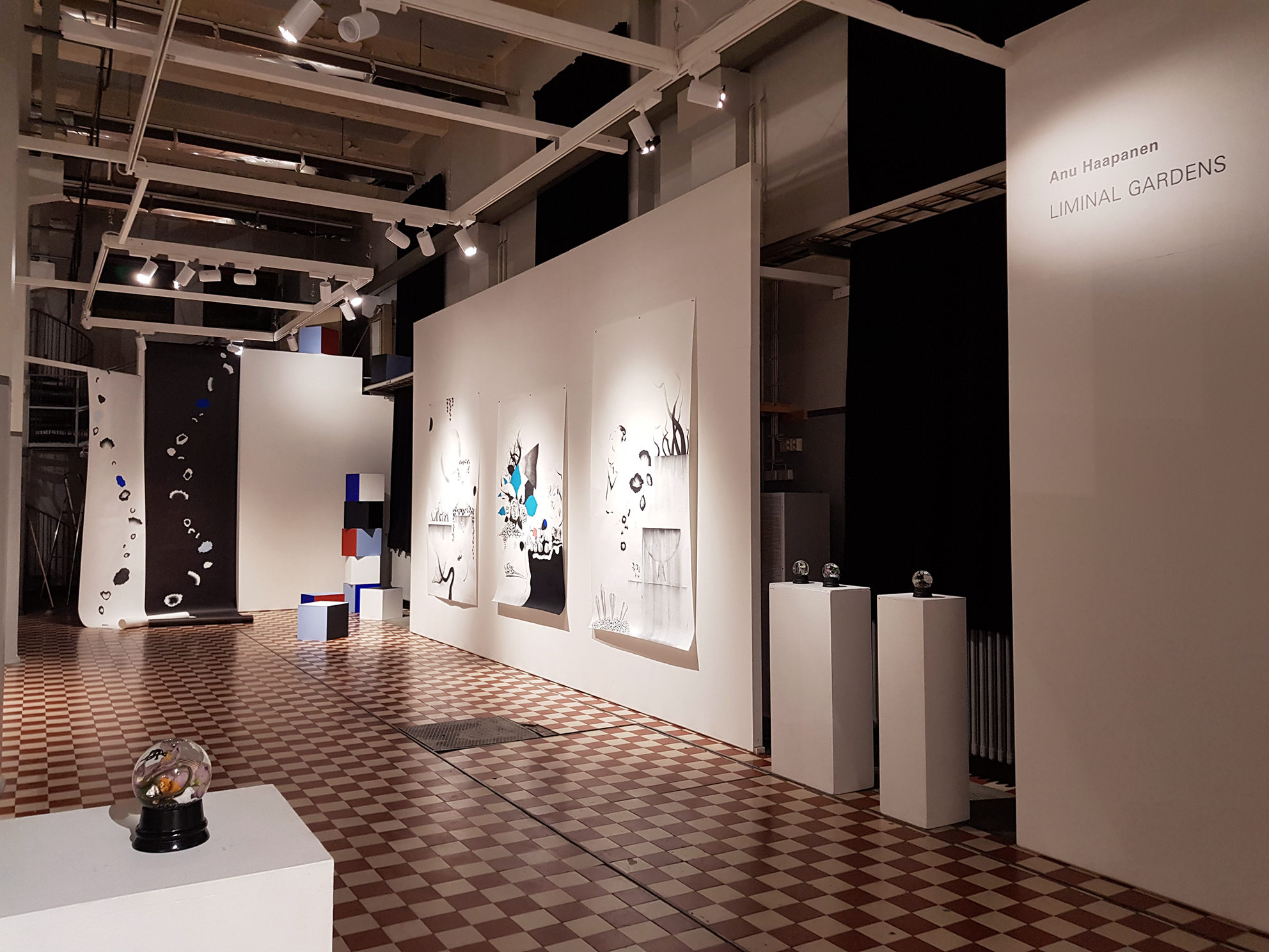 Anu Haapanen, Liminal Gardens, Galleria Huuto, 2021.