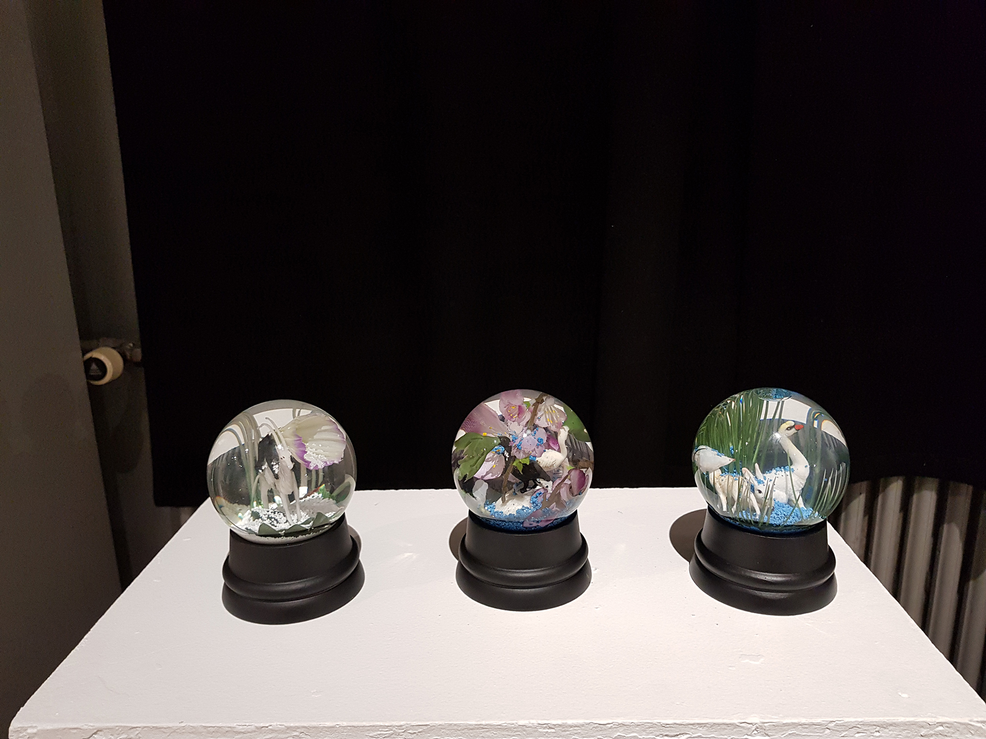 Liminal Gardens, 2021. Lookout, Oracles and Adaptation.