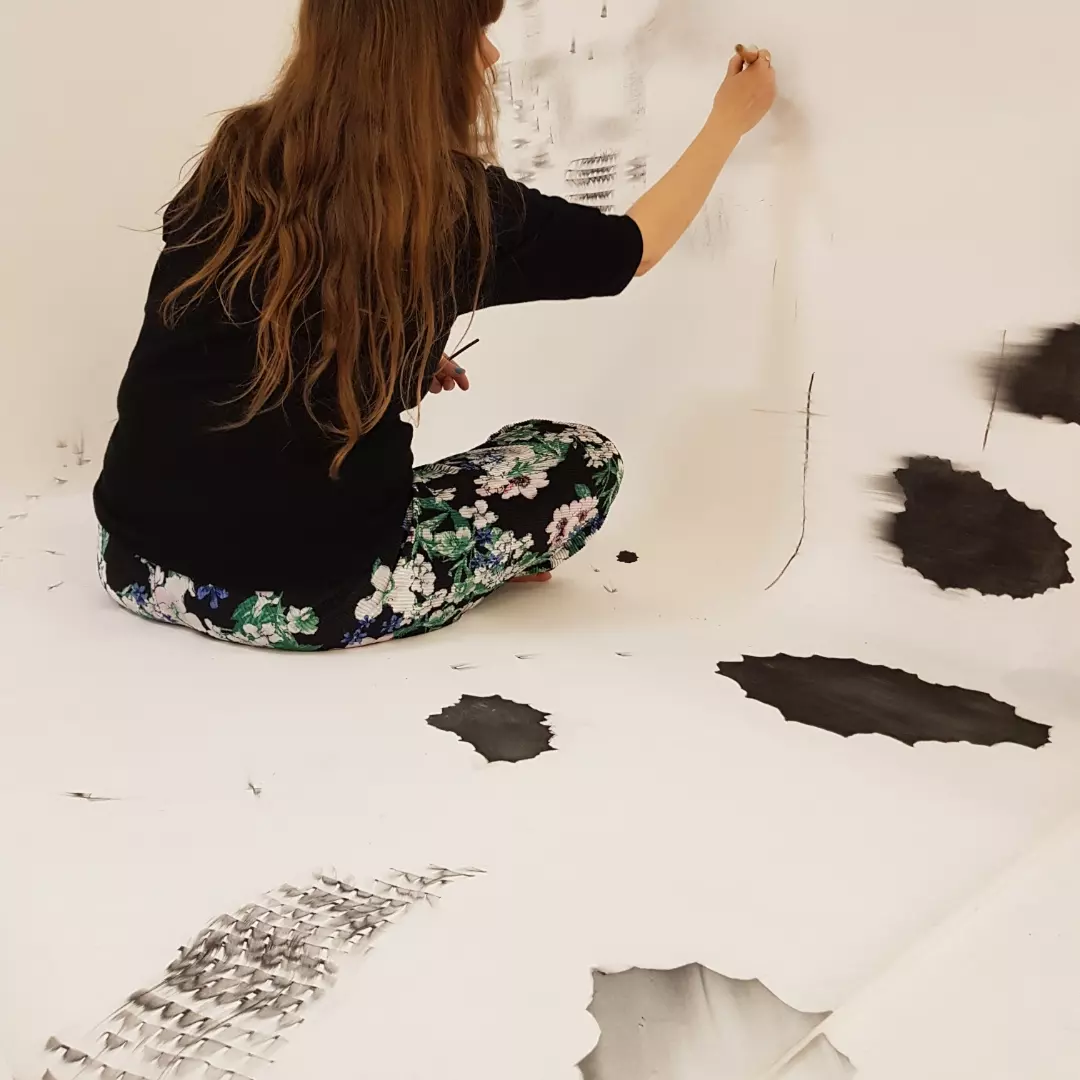 Anu Haapanen, Parallelia.