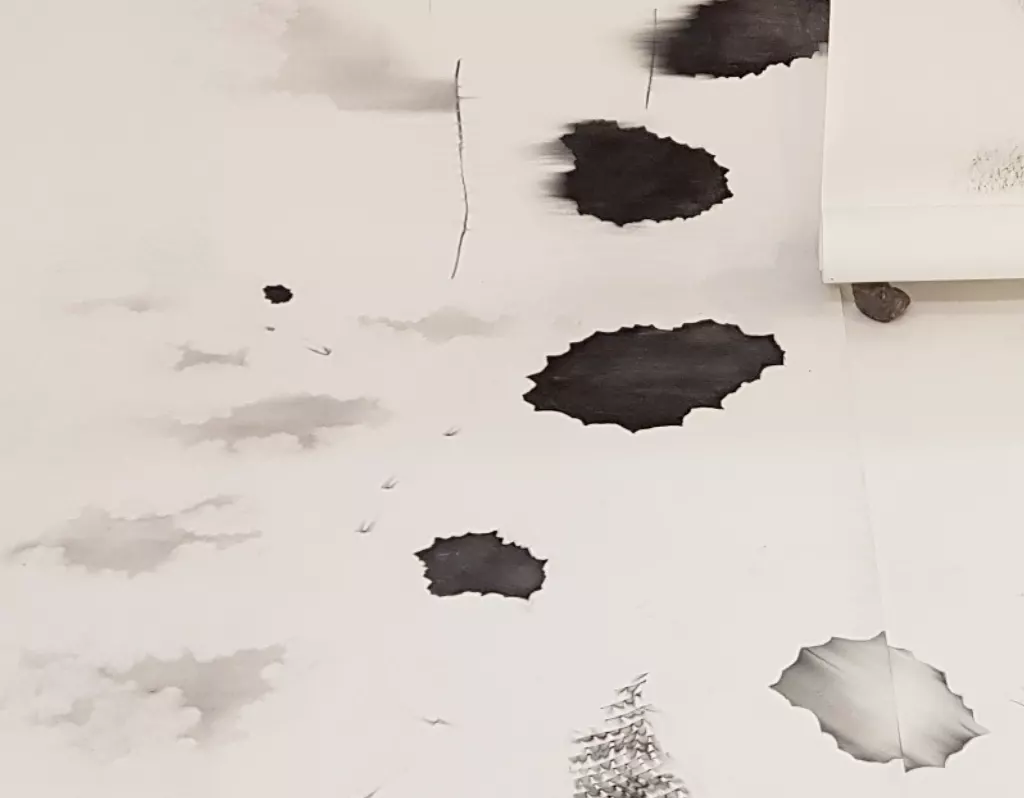 Anu Haapanen, Parallelia.