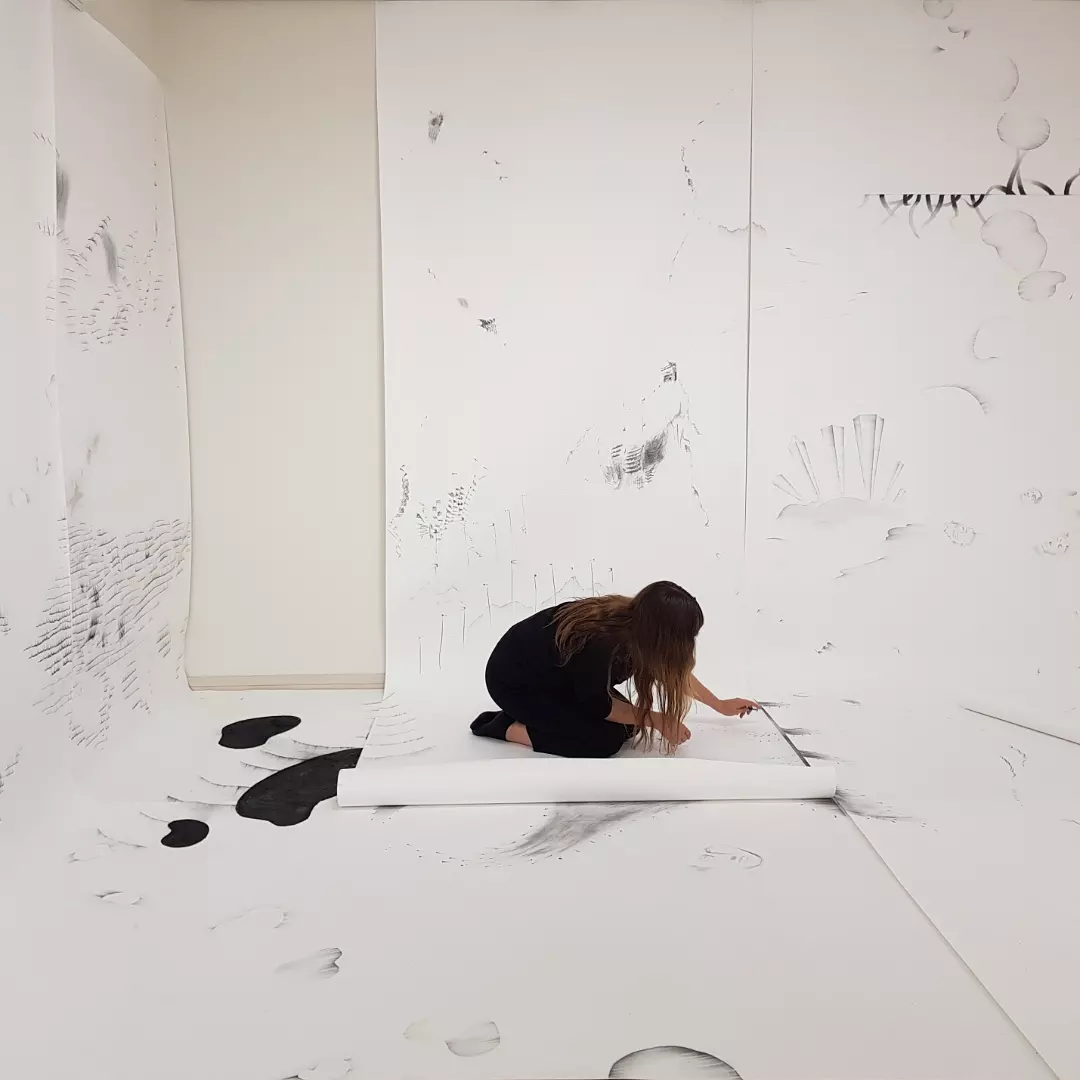 Anu Haapanen, Parallelia.